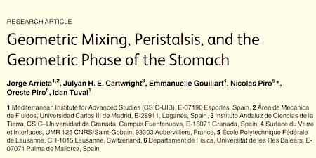belly-phase-paper