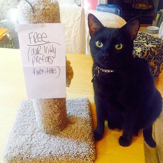 11917999_1665837687020562_55099187_n