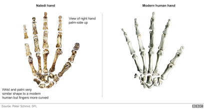 hands_976
