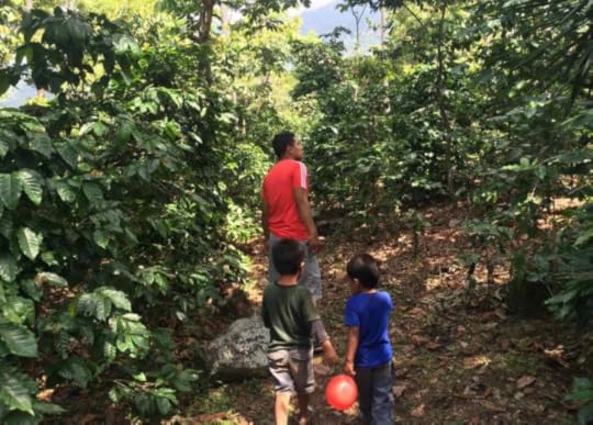 Caption: This farm helped keep our coffee addiction alive and kicking. And for this we are grateful. Global Goulets 