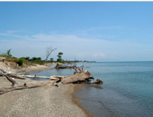 Most people went to the park for the beach. Even so, most of the park was woods and high grass.