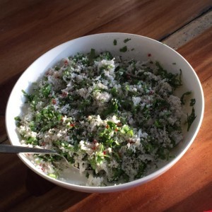 Fiji2015CoconutChutney