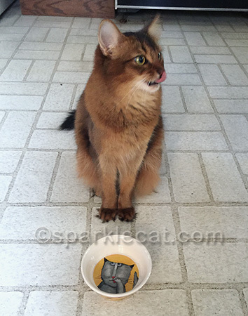 I'm still trying to figure out what the deal was with the empty dish
