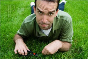 lawn01