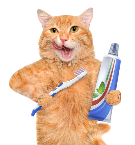 dental-procedure