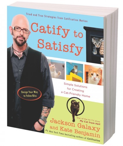 Catify-to-Satisfy