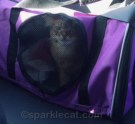 I hope she doesn't expect me to share my lunch with her!