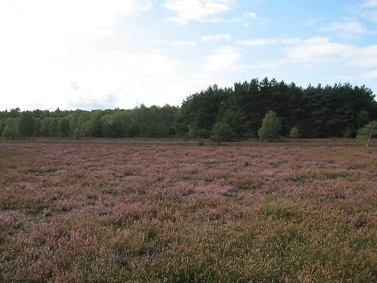 Lüneburger Heide