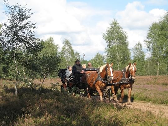 Horse carriage Lüneburger Heide