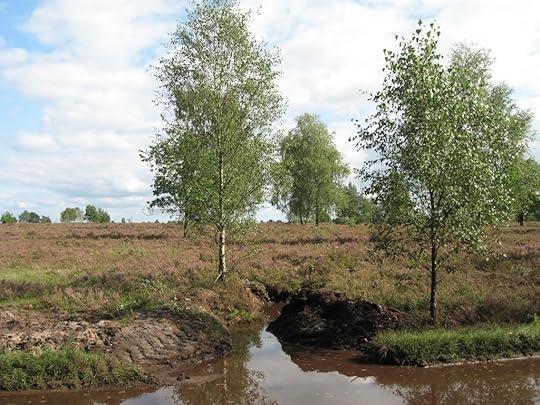 Lüneburger Heide