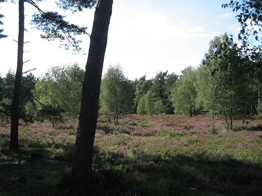 Lüneburger Heide