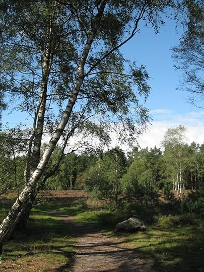 Lüneburger Heide path