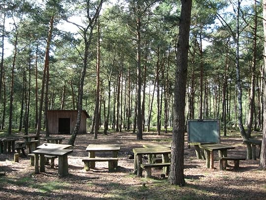 Forest schoolhause