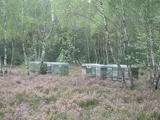 Heide beehives