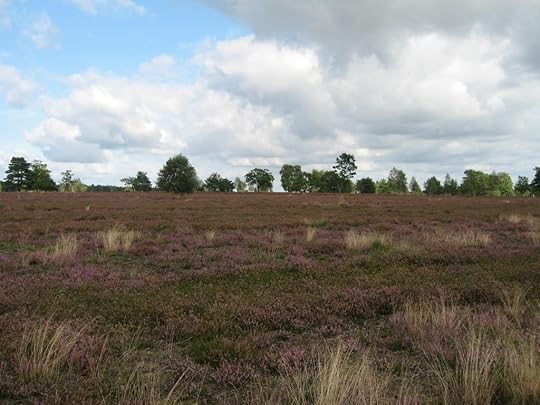 Lüneburger Heide