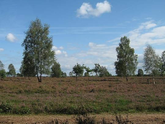 Lüneburger Heide