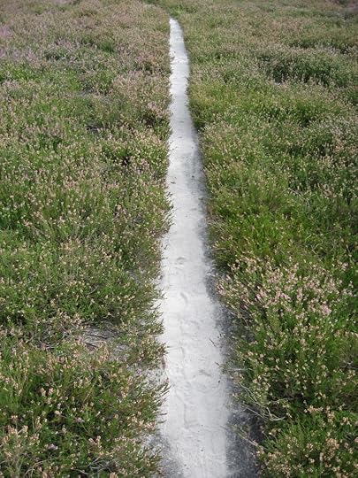 Heath path