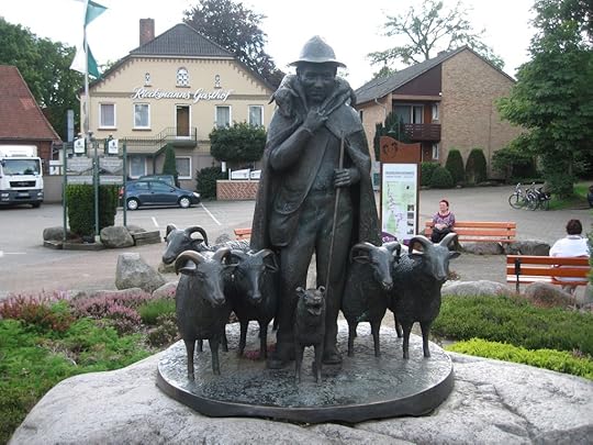 Bispingen Heidschnucken