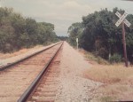 Loney Tracks