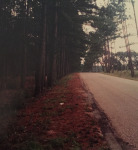 Em;ty road that leads to my house