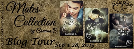 Tour Banner - Mates COllection copy