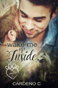 Cover - wake me up inside