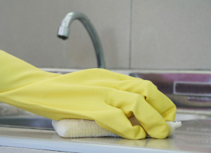 Cleaning Gloves