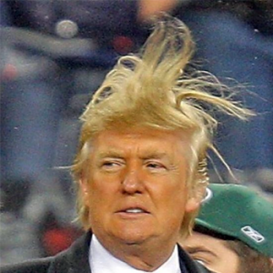 donald-trump-hair2