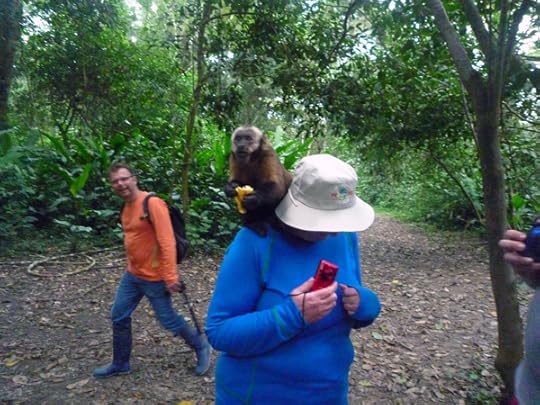 monkey2
