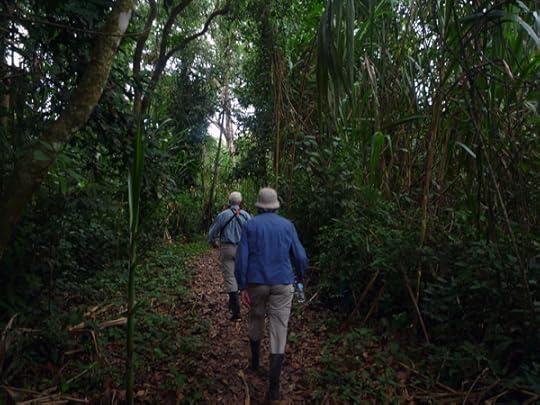 amazon hike