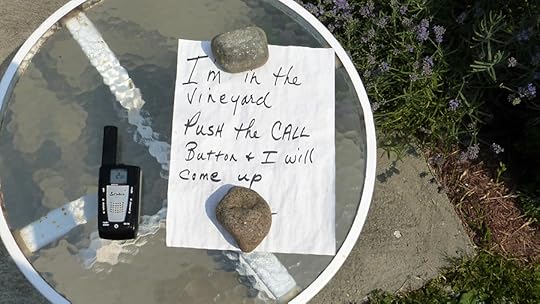 vineyard note