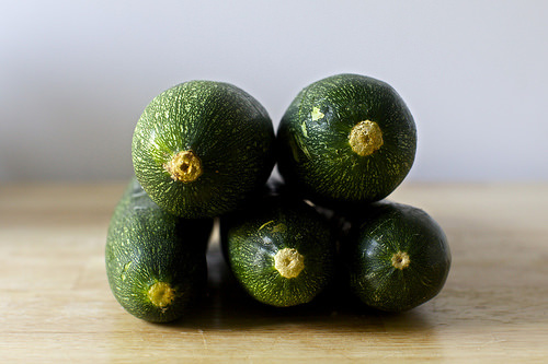 ... to zucchini tail