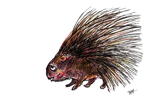 Porcupine001