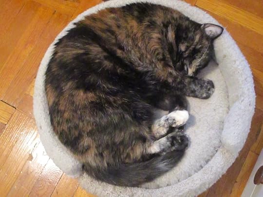  photo IMG_9131_zpsna0hmrtc.jpg