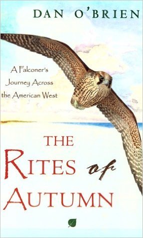 41QH45KW31L._SX284_BO1,204,203,200_-2