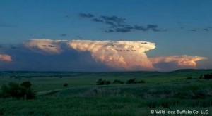 aa074e1da7d13de336644538c2e12423