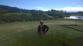 j9lavenderfarmbigger92015