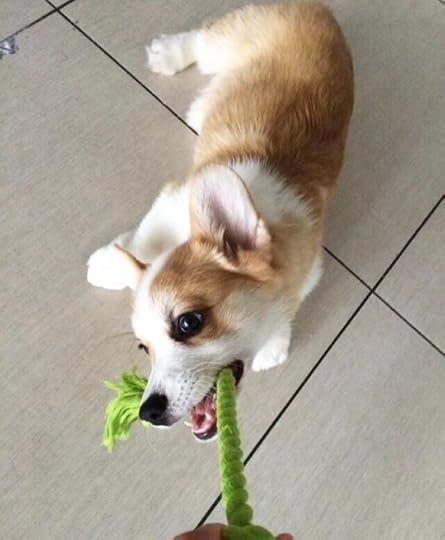  photo tumblr_nuuhpqvlG11ty44zjo1_540_zpsmbjjkxhh.jpg