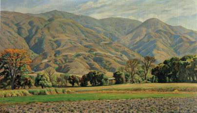 hortalizas-en-san-bernardino