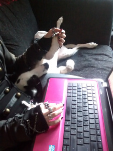 Bandit holding Cat's hand through the Photoshop ordeal
