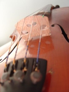 violin_bridge_closeup