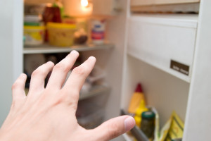 fridge a