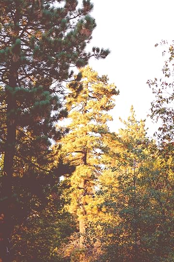 Mount Laguna