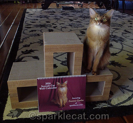 I'm really excited about this calendar!