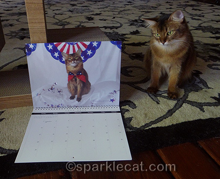 I look sort of patriotic here, don't you think?