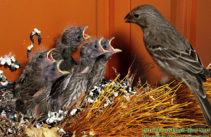 photo from watching grass grow blog