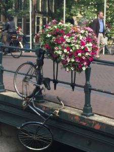Bike mishap in Amsterdam.