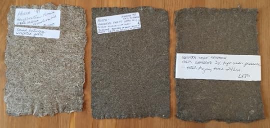 Hosta Paper, contributed by Mary Leto, the recipe is in my book Papermaking With Garden Weeds and Common Plants