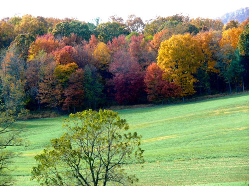 Foothills of the Alleghenies