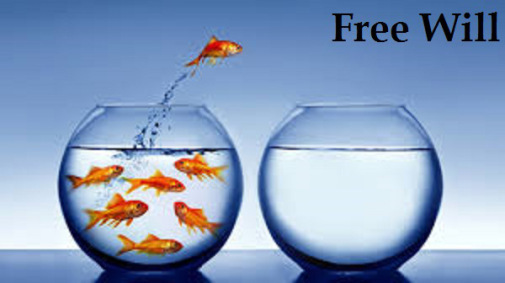 free-will